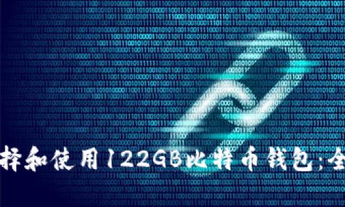 如何选择和使用122GB比特币钱包：全面指南