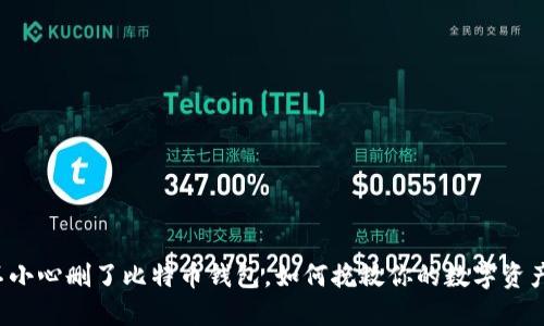 不小心删了比特币钱包，如何挽救你的数字资产？