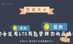 如何安全使用bTS钱包管理