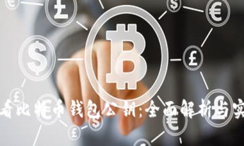 如何查看比特币钱包公钥：全面解析与实用技巧