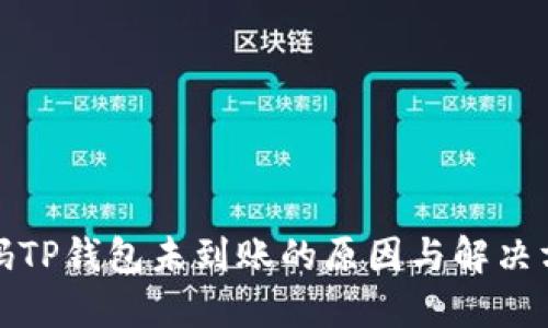 扫码TP钱包未到账的原因与解决方案