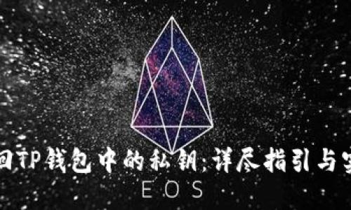 如何找回TP钱包中的私钥：详尽指引与实用技巧