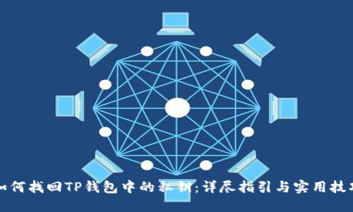如何找回TP钱包中的私钥：详尽指引与实用技巧