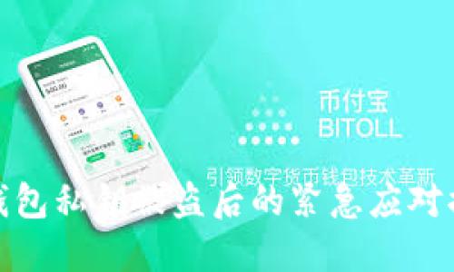 TP钱包私钥被盗后的紧急应对措施