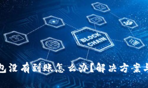 TP钱包没有到账怎么办？解决方案与建议