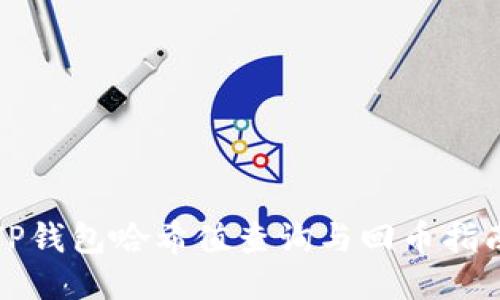 TP钱包哈希值查询与回币指南