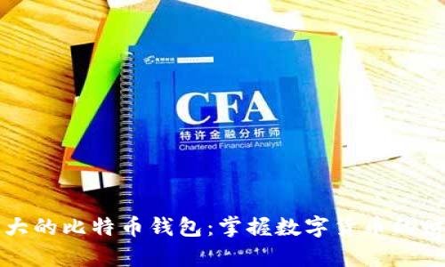 全球最大的比特币钱包：掌握数字货币的财富之钥