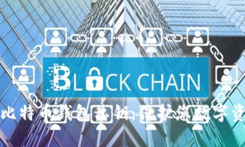 如何安全备份比特币钱包私钥：保护您数字资产的必备指南