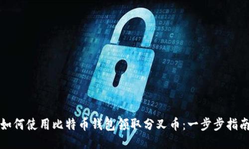 如何使用比特币钱包领取分叉币：一步步指南