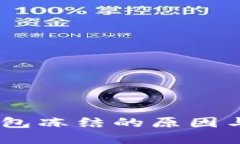 USDT被钱包冻结的原因与解决方法