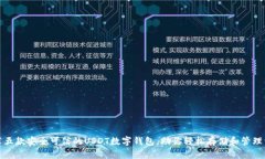 推荐五款安全可信的USDT数字钱包，助你轻松存储