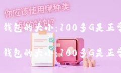 比特币钱包的大小：100多G是正常的吗？比特币钱