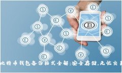 比特币钱包备份格式全解：安全存储，无忧交易