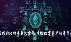 如何找回比特币钱包密码：重拾数字资产的希望