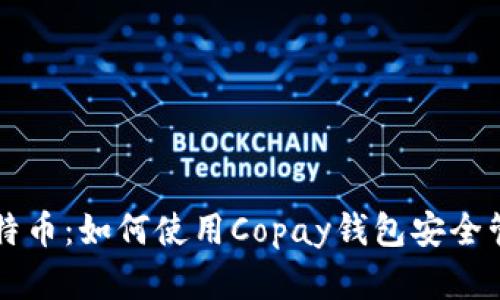 掌握你的比特币：如何使用Copay钱包安全管理数字资产