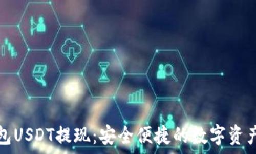    
冷钱包USDT提现：安全便捷的数字资产转移