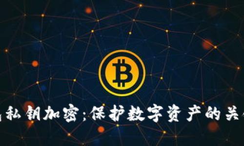 TP钱包私钥加密：保护数字资产的关键所在