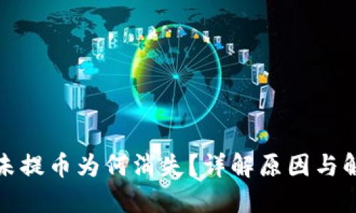 TP钱包未提币为何消失？详解原因与解决方案