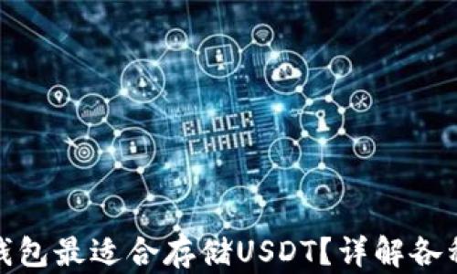 
哪种钱包最适合存储USDT？详解各种选择