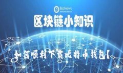 如何顺利下载比特币钱包