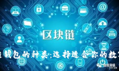 全面解析区块链钱包的种类：选择适合你的数字资产管理工具