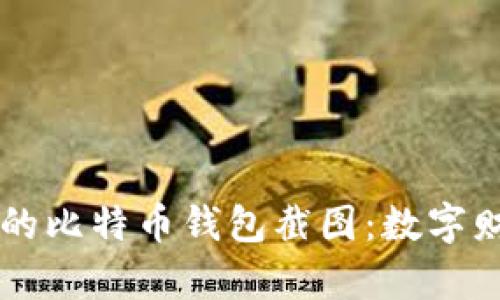 一幅生动的比特币钱包截图：数字财富的窗口