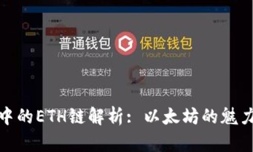 TP钱包中的ETH链解析: 以太坊的魅力与价值