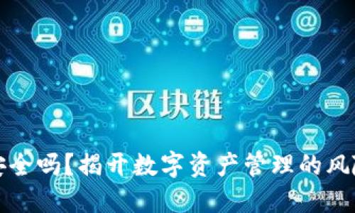 TP钱包安全吗？揭开数字资产管理的风险与防范