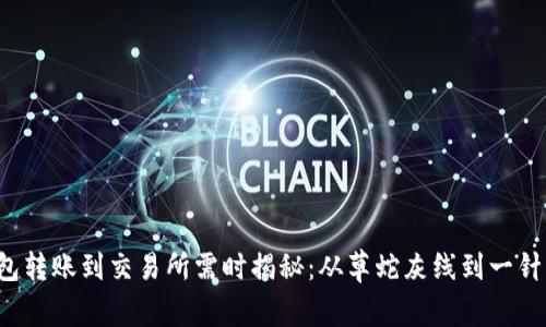 TP钱包转账到交易所需时揭秘：从草蛇灰线到一针见血！