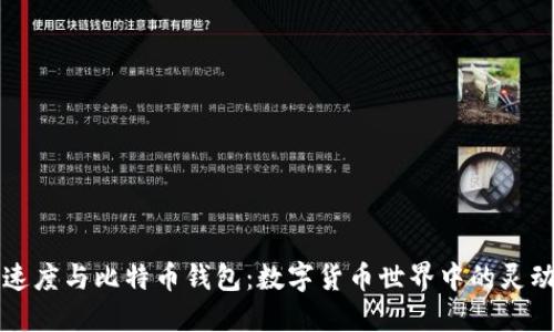 猎豹速度与比特币钱包：数字货币世界中的灵动探索