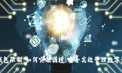 TP钱包限制：如何突破困境，安全高效管理数字资产