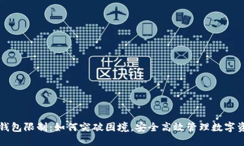TP钱包限制：如何突破困境，安全高效管理数字资产