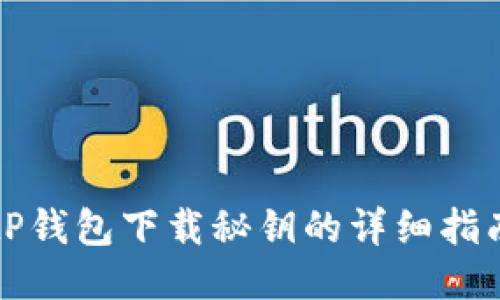 tP钱包下载秘钥的详细指南
