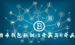揭秘比特币钱包私钥：5开