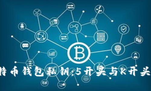 揭秘比特币钱包私钥：5开头与K开头的秘密！