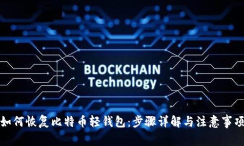 如何恢复比特币轻钱包：步骤详解与注意事项