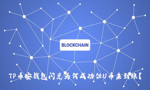 TP币安钱包闪兑为何成功但U币未到账？