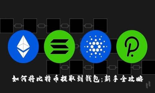 如何将比特币提取到钱包：新手全攻略