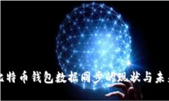 比特币钱包数据同步的现
