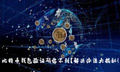 比特币钱包验证码收不到