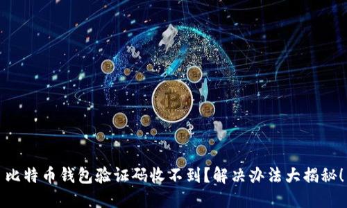 比特币钱包验证码收不到？解决办法大揭秘！