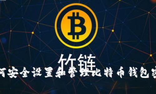 如何安全设置和管理比特币钱包密码