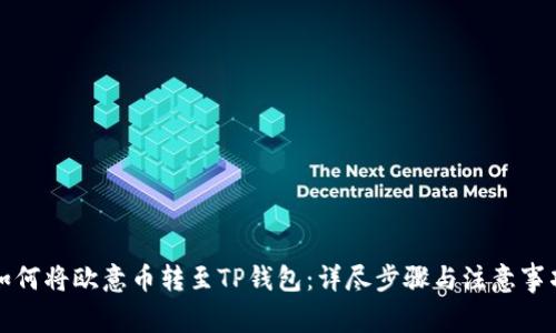 如何将欧意币转至TP钱包：详尽步骤与注意事项