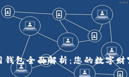 比特币专用钱包全面解析：您的数字财富安全之选