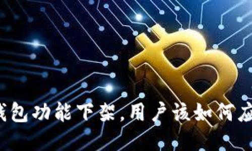 TP钱包功能下架，用户该如何应对？