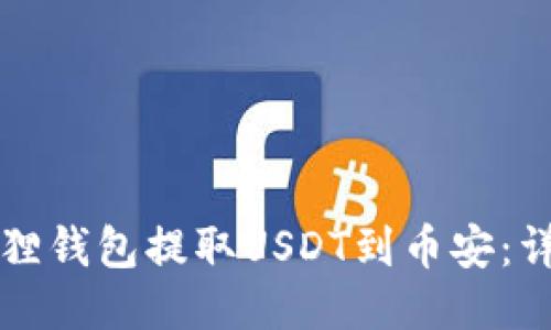 如何通过狐狸钱包提取USDT到币安：详细教程指南