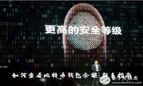 如何查看比特币钱包余额：新手指南