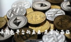 虚拟币钱包平台的未来：