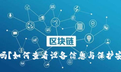 : TP钱包安全吗？如何查看设备信息与保护安全的实用指南