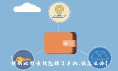 :我的比特币钱包掉了手机